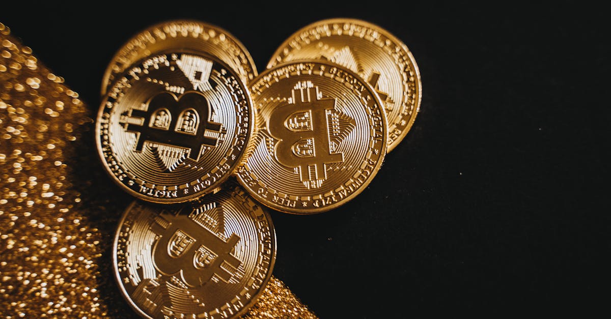 Melina Trump Token The Viral Crypto Sensation Explained MetaTr.one